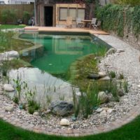 A pond with aquatic plants in the country