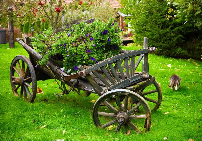 Stara kolica u ukrasu vrta