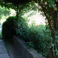 Shady corner with stone partition