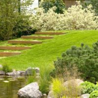 Countryside hill with green grass