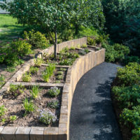 Plates-bandes sur la terrasse du jardin