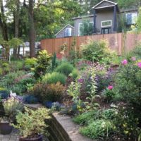 Decorating the slope of the garden with plants and flowers