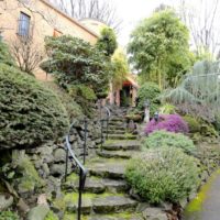 Shrubs along a stone staircase leading to the house