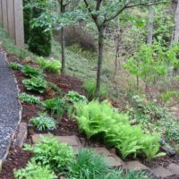 The picturesque slope of the garden