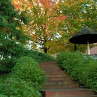 Giardinaggio di un pendio di un sito di campagna