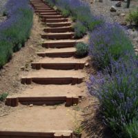 Simple staircase with wooden steps