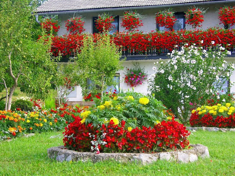 Letto di fiore del giardino con i fiori rossi e gialli