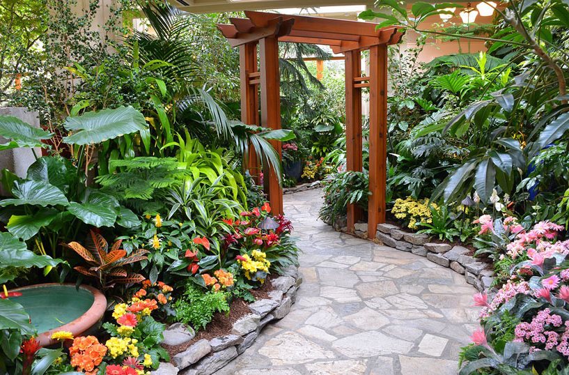 Wooden arch in tropical garden design