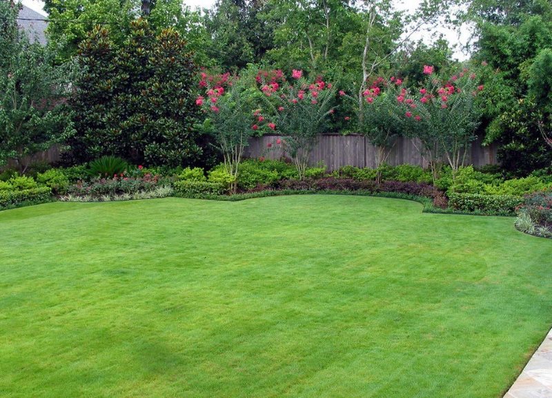 Pelouse verte dans le jardin d'une maison de campagne