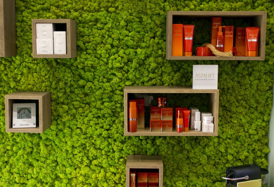 Police za knjige na zelenom zidu mahovine