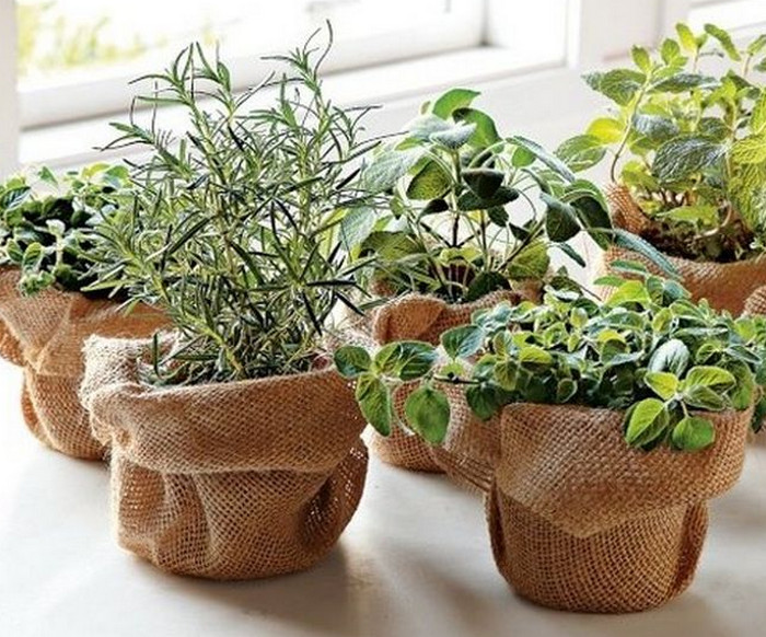 Décorer des pots de fleurs avec de la jute