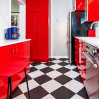 Black and white cage on the floor in the kitchen