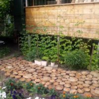 Garden path made of tree cuts