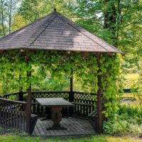 Arbor kayu di landskap taman