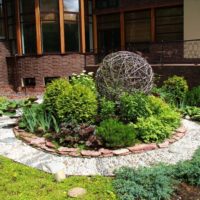 Boule de saule sur une plate-bande de jardin