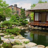 Japanese gazebo on the shore of an artificial reservoir