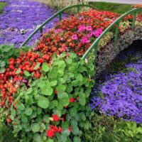 Arrangement de fleurs sous la forme d'un pont sur un ruisseau