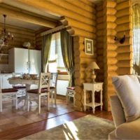 Kitchen-living room in a log house