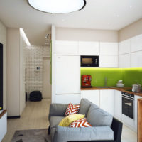 Interior of a small kitchen-living room with a gray sofa