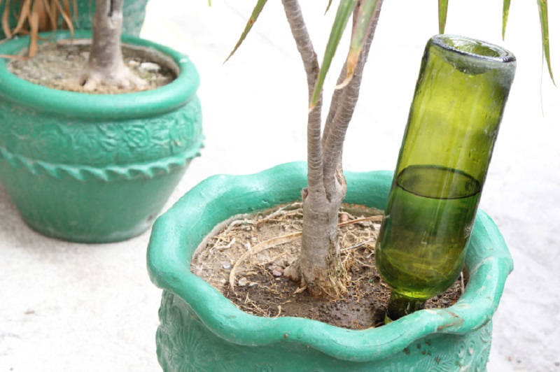 Spas za spašavanje iz boce za zalijevanje sobnih biljaka