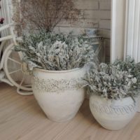 Podne vaze s herbarijima poljskih biljaka