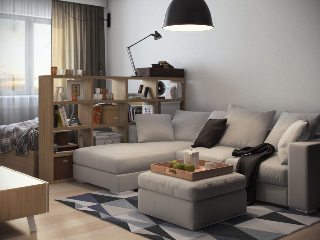 Bookcase as a room divider