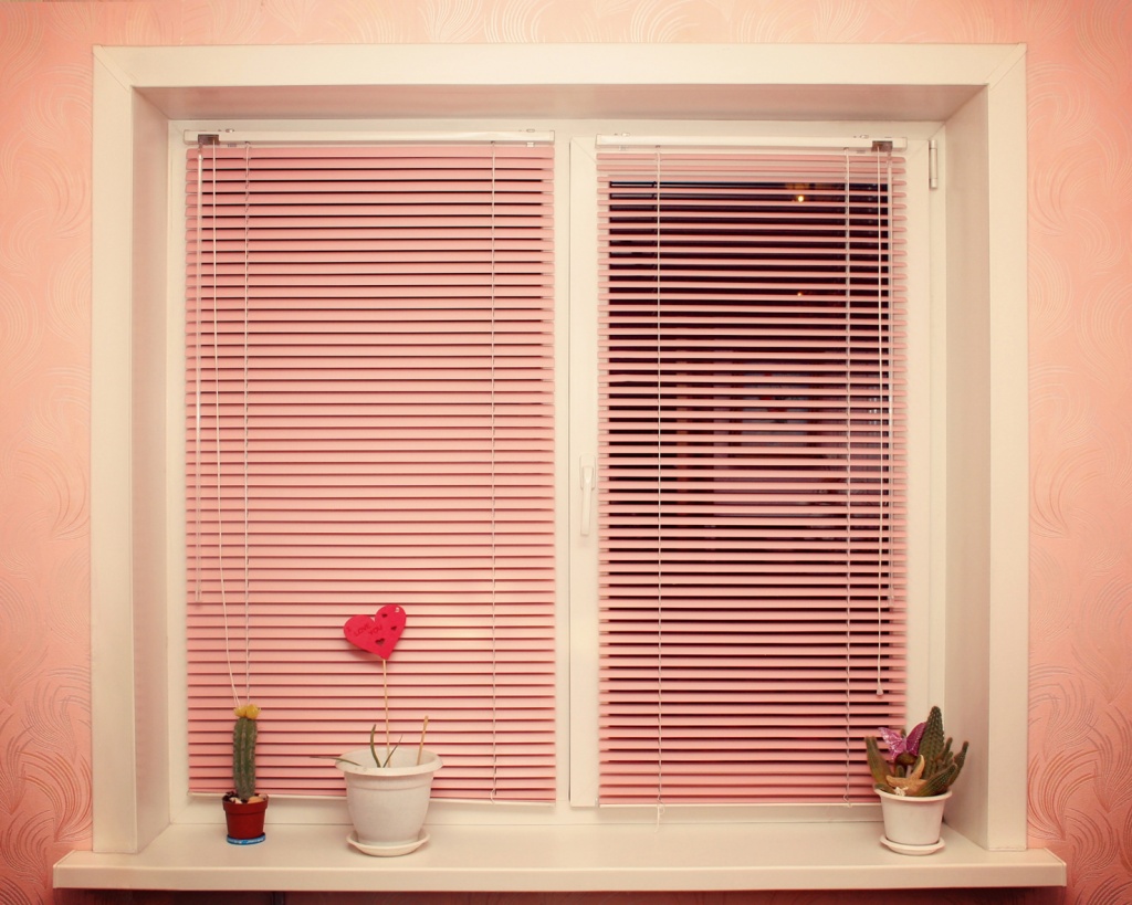 Prozor u stanu s vodoravnim sjenilima