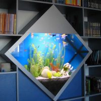 Acquario incorporato a forma di diamante