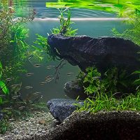 Underwater rock made of natural stone