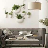 Living plants as a wall decor