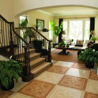 Indoor plants in the hallway interior