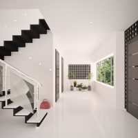 Minimalism style white hall