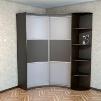 Glass doors of the radius wardrobe