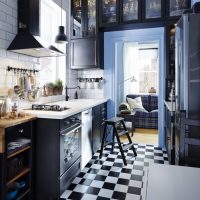 Black and white cage on the kitchen floor