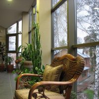 Wooden chair with carved back