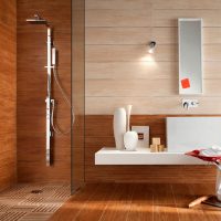 Shower cabin in a wooden house