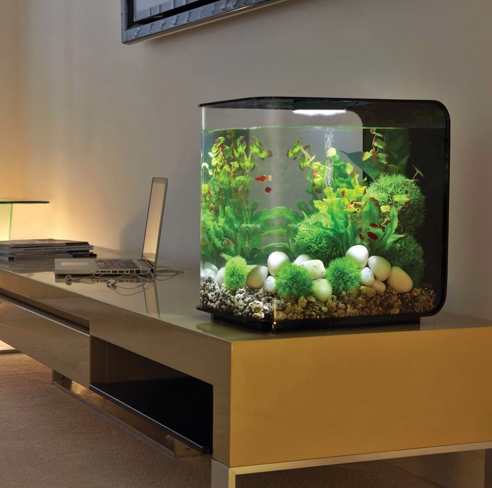 Small square aquarium on the desktop