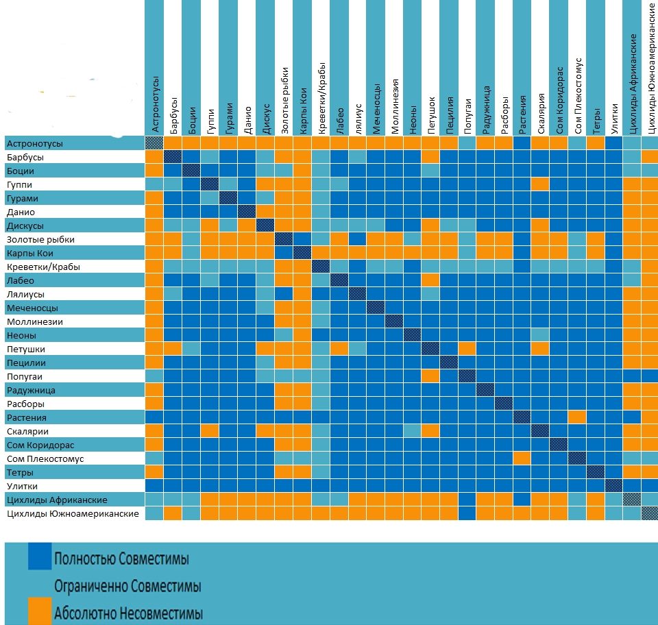 Tableau de compatibilité de certaines espèces de poissons pour l'aquarium