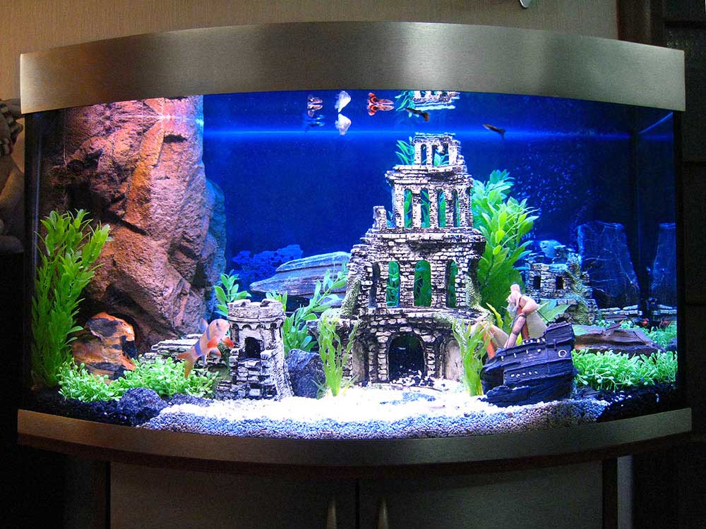 Aquarium panoramique avec hublot convexe