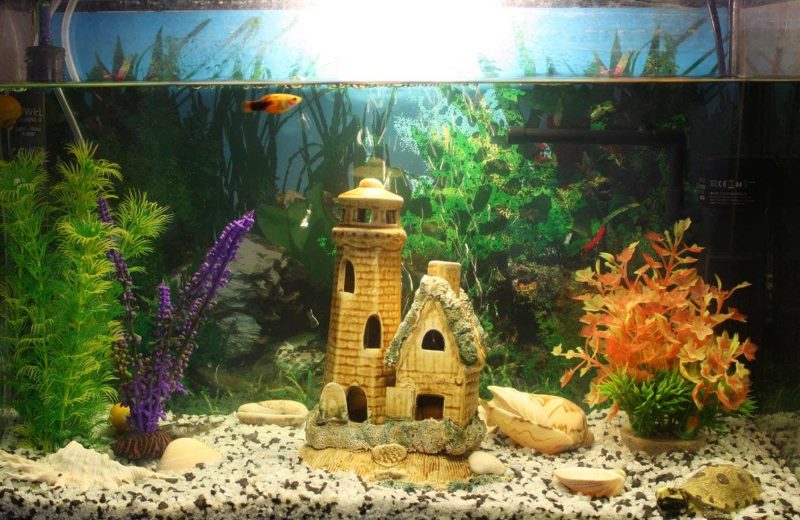 Castello delle fiabe all'interno dell'acquario