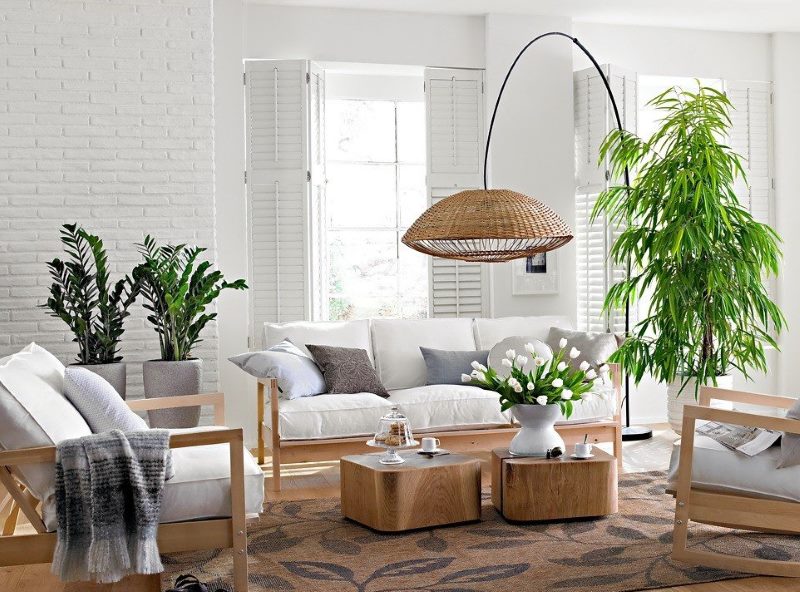 צמחים חיים בעיצוב הסלון