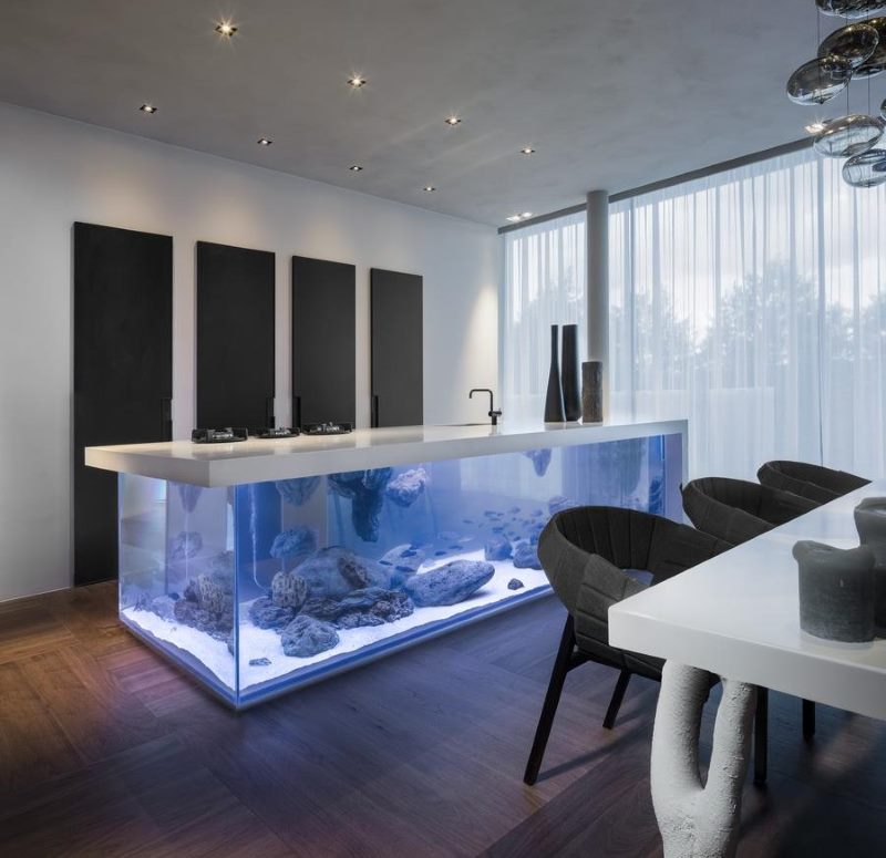 Kitchen island with an aquarium in the interior of the kitchen-living room