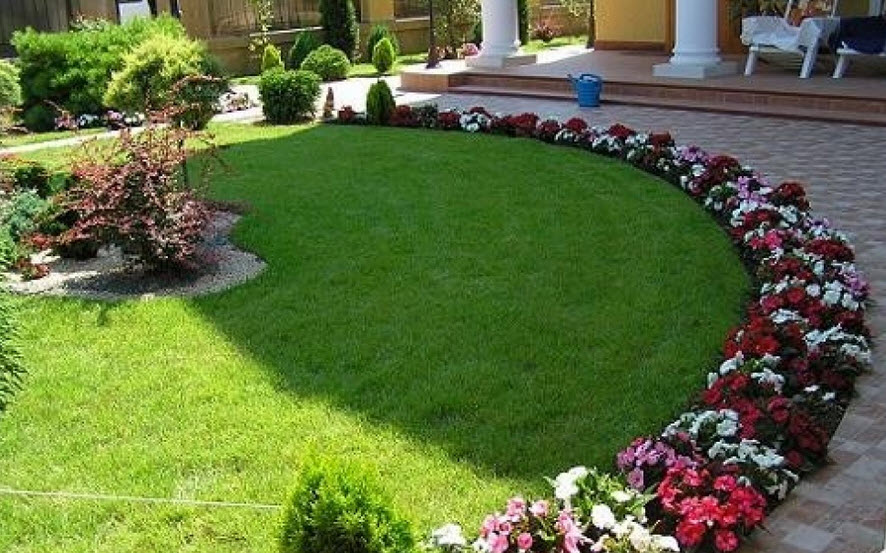 Decorazione del bordo del percorso del giardino con petunie