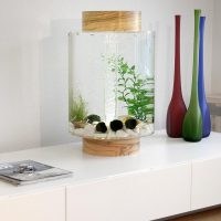 Piccolo acquario decorativo