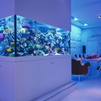 Dizajnirajte dnevni boravak s velikim akvarijem