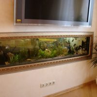 Built-in aquarium in a wooden baguette