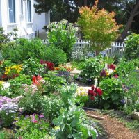 Abbellimento del giardino anteriore della casa di campagna