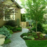 Making a trunk circle using perennials