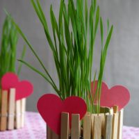 Simple clothespins decorations