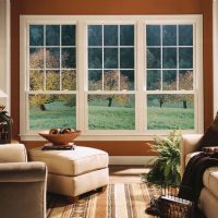 autumn forest in the living room window